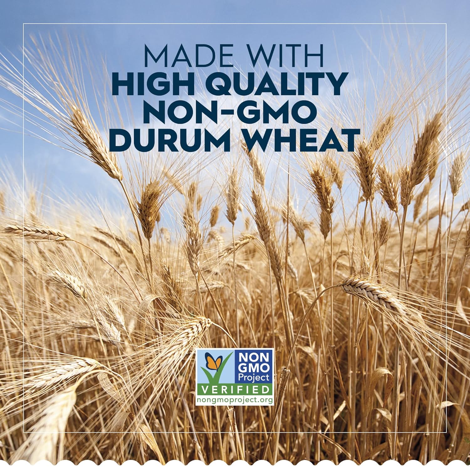 Barilla_Rotini_Pasta,_16_oz._Box_-_Non-GMO,_Made_with_Durum_Wheat_Semolina_-_Kosher_Certified
