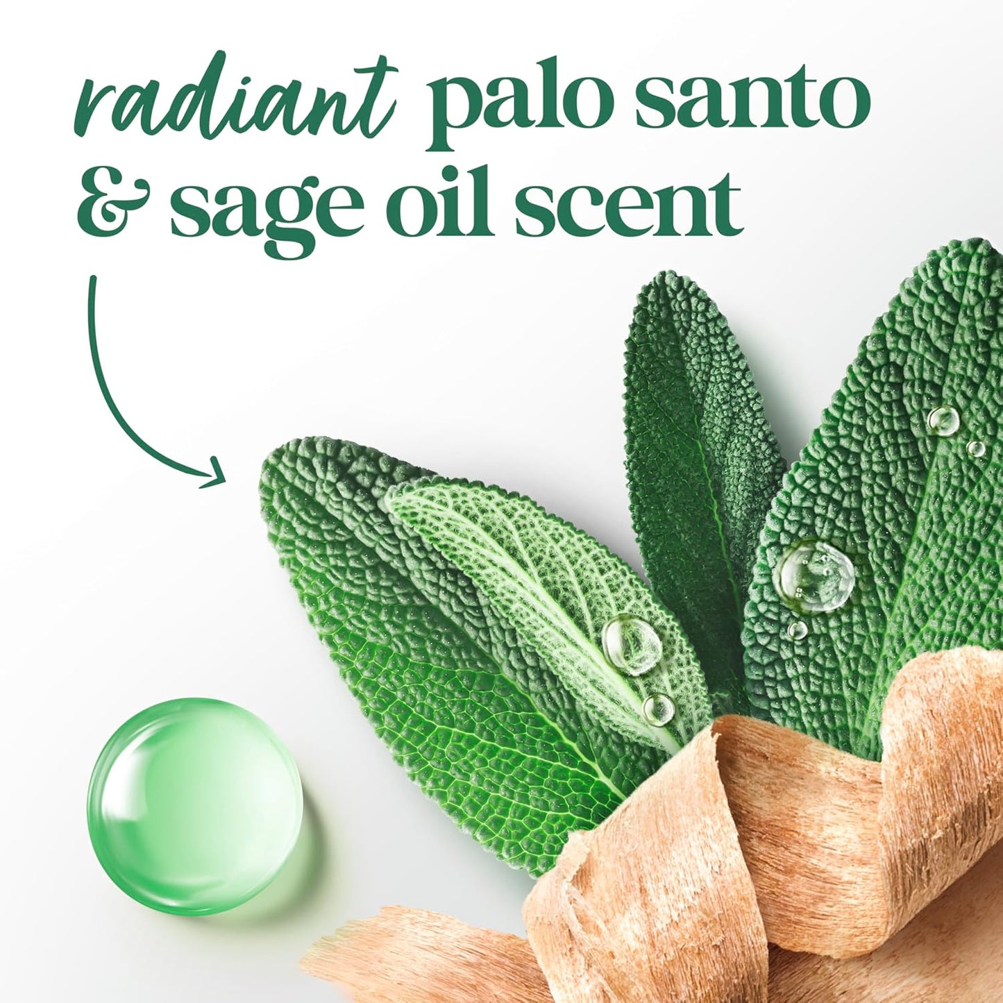 Dove_Palo_Santo_&_Sage_Antiperspirant_Stick_–_72H_Sweat_&_Odor_Protection,_Pro‑Ceramide_Technology,_Alcohol‑Free,_FIFA_Limited_Edition_Design,_2.6_oz