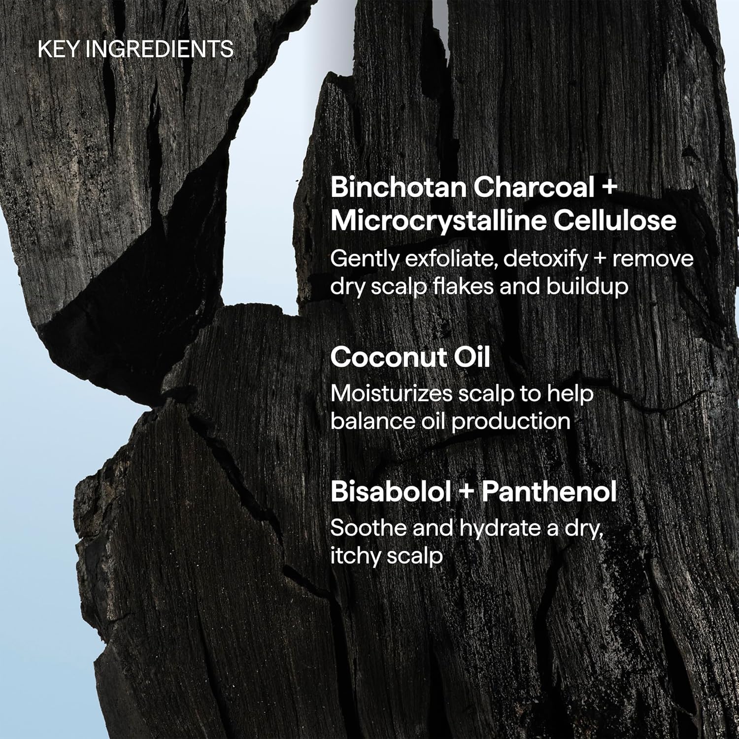 Briogeo_Scalp_Revival_Charcoal_+_Coconut_Oil_Micro-Exfoliating_Shampoo_|_Sulfate-Free_Scalp_Scrub_for_Dry,_Itchy,_or_Oily_Scalp_|_Detoxifying_&_Hydrating_|_Vegan_&_Cruelty_Free