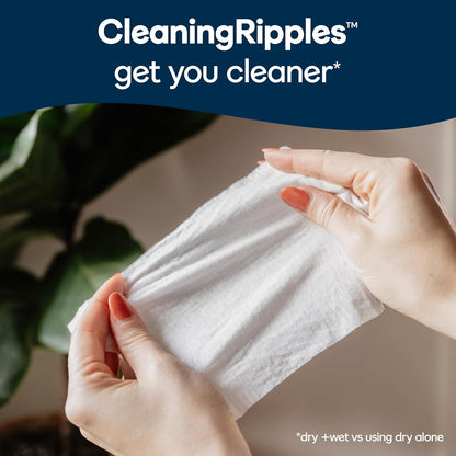 Fresh_Feel_Flushable_Wet_Wipes,_Adult_Wet_Wipes,_8_Flip-Top_Packs,_42_Wipes_Per_Pack_(336_Total_Wipes),_Packaging_May_Vary