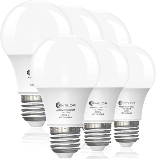 LUXRITE A19 LED Bulb 5000K Daylight – Bright Covered Patio and Porch Lighting, 9W Shatter-Resistant 4-Pack