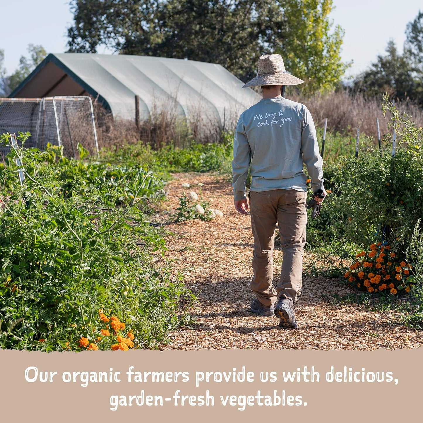 Amy's_Chilis,_Light_in_Sodium_Organic_Medium_Chili,_14.7_Ounce