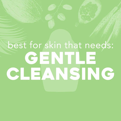Pink_Sea_Salt_&_Rosewater_Sulfate-Free_Soothing_Body_Scrub_with_Healing_Rose_Quartz,_Gentle_Exfoliating_Daily_Body_Wash_to_Soften_&_Smooth_Skin,_19.5_Fl_Oz