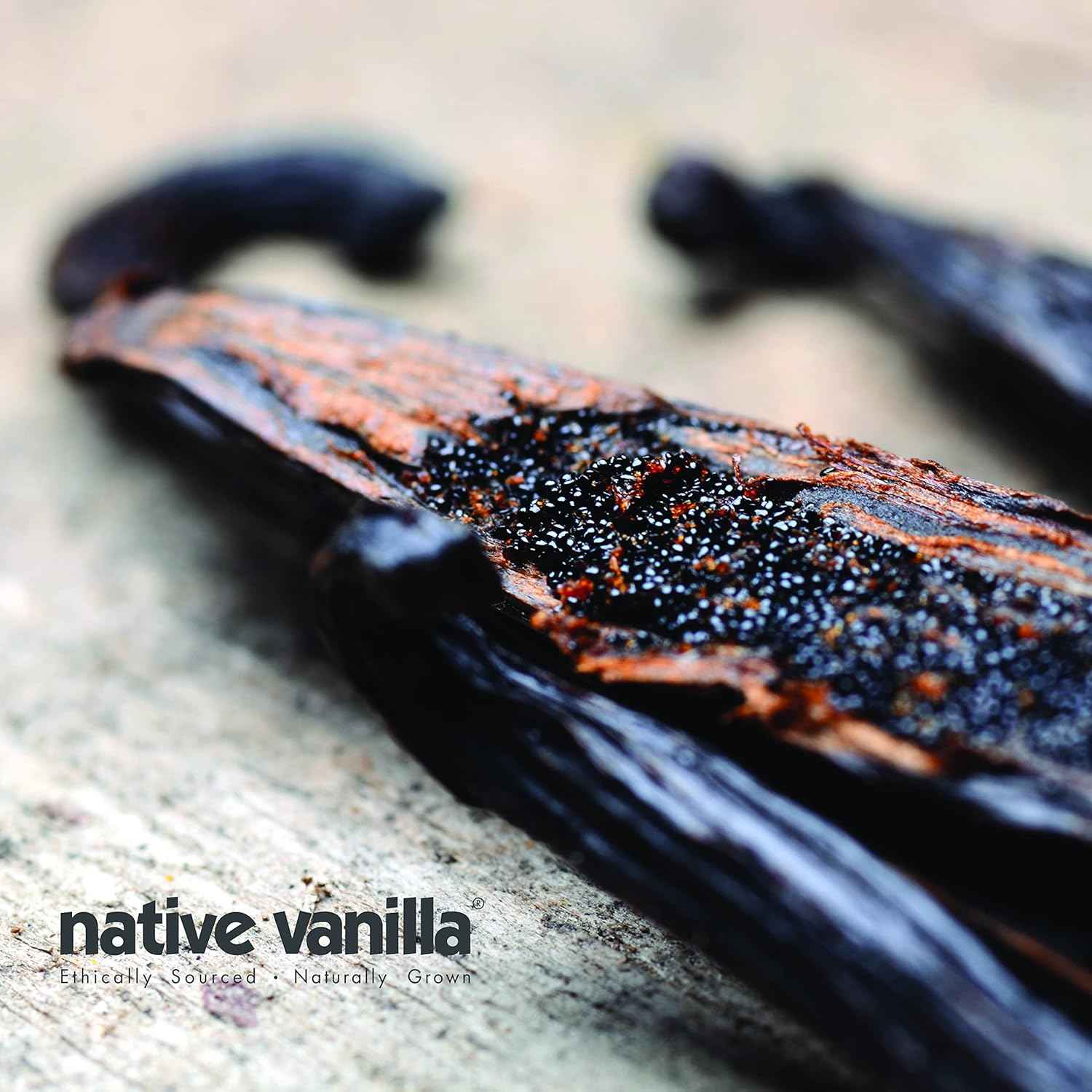 Native Vanilla — Reserve Whole Vanilla Beans for Luxury Dessert Making & Artisan Extract Crafting