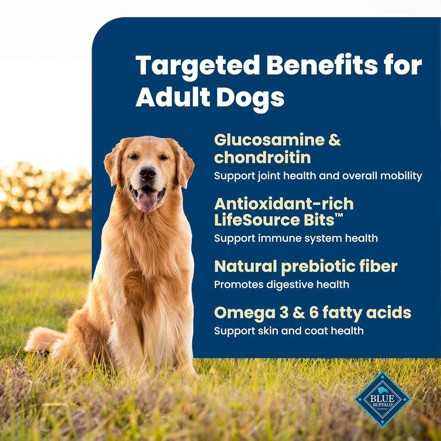 Blue Buffalo Life Protection Chicken & Brown Rice Adult Dog Food – Kid-Friendly Feeding Station Pick with Omega Skin and Coat Support, 15 lb