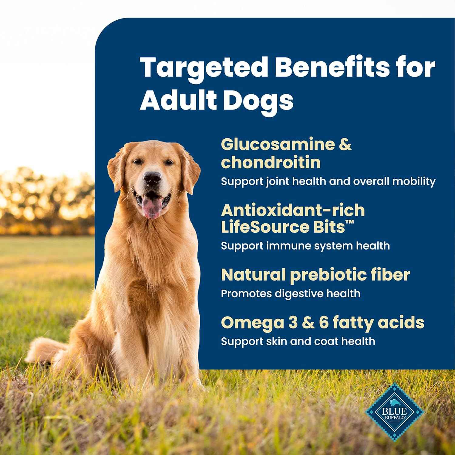 Blue Buffalo Life Protection Chicken & Brown Rice Adult Dog Food – Kid-Friendly Feeding Station Pick with Omega Skin and Coat Support, 15 lb