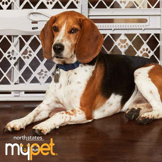 MYPET North States Paws Simple Pet Gate - Clean-Lined Barrier for Uncluttered Apartments and Studios