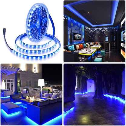 ALITOVE IP65 Blue LED Strip Light for Outdoor Dining and Camping, 12V Waterproof 5050 300 LEDs, 16.4ft