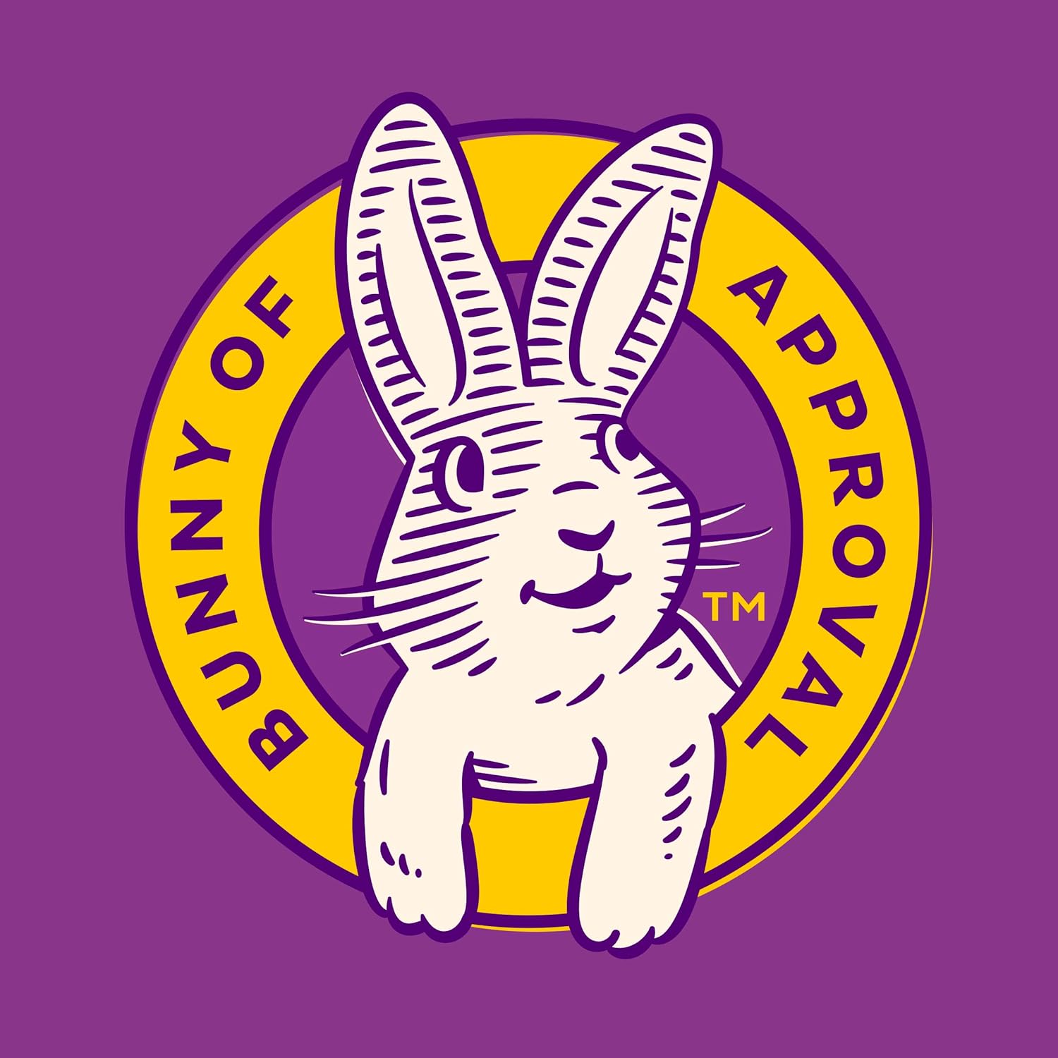 Annie's Organic Bunny Fruit Snacks – Halloween Goody Bag Gift for Classmates and Trick-or-Treaters, 22 Pouches