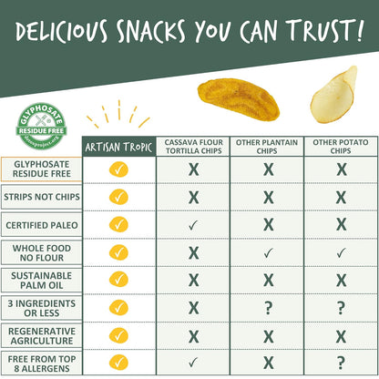 ARTISAN TROPIC Plantain Strips Sea Salt - Simple Clean-Ingredient Snack for Uncluttered Pantries