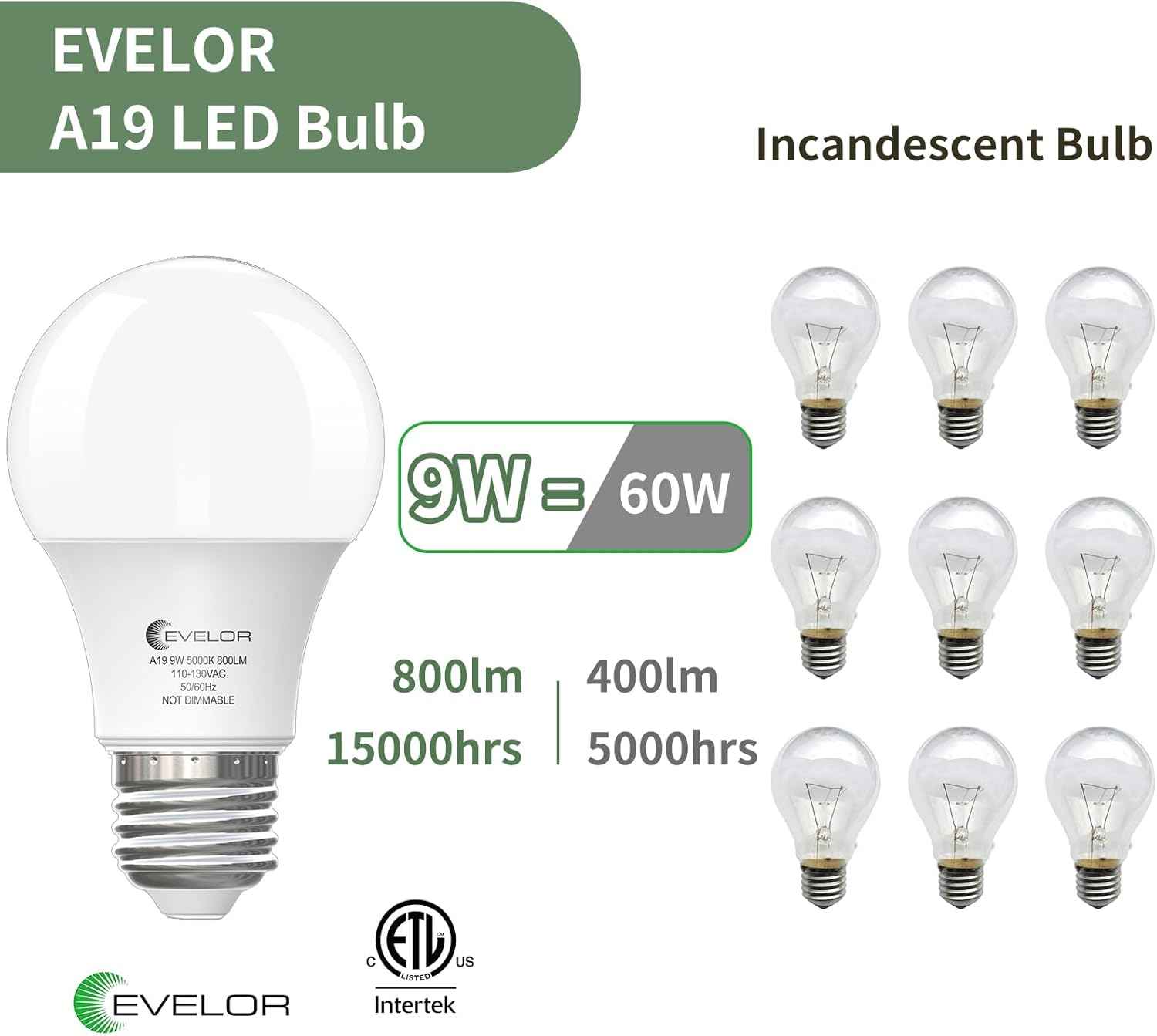 LUXRITE A19 LED Bulb 5000K Daylight – Bright Covered Patio and Porch Lighting, 9W Shatter-Resistant 4-Pack