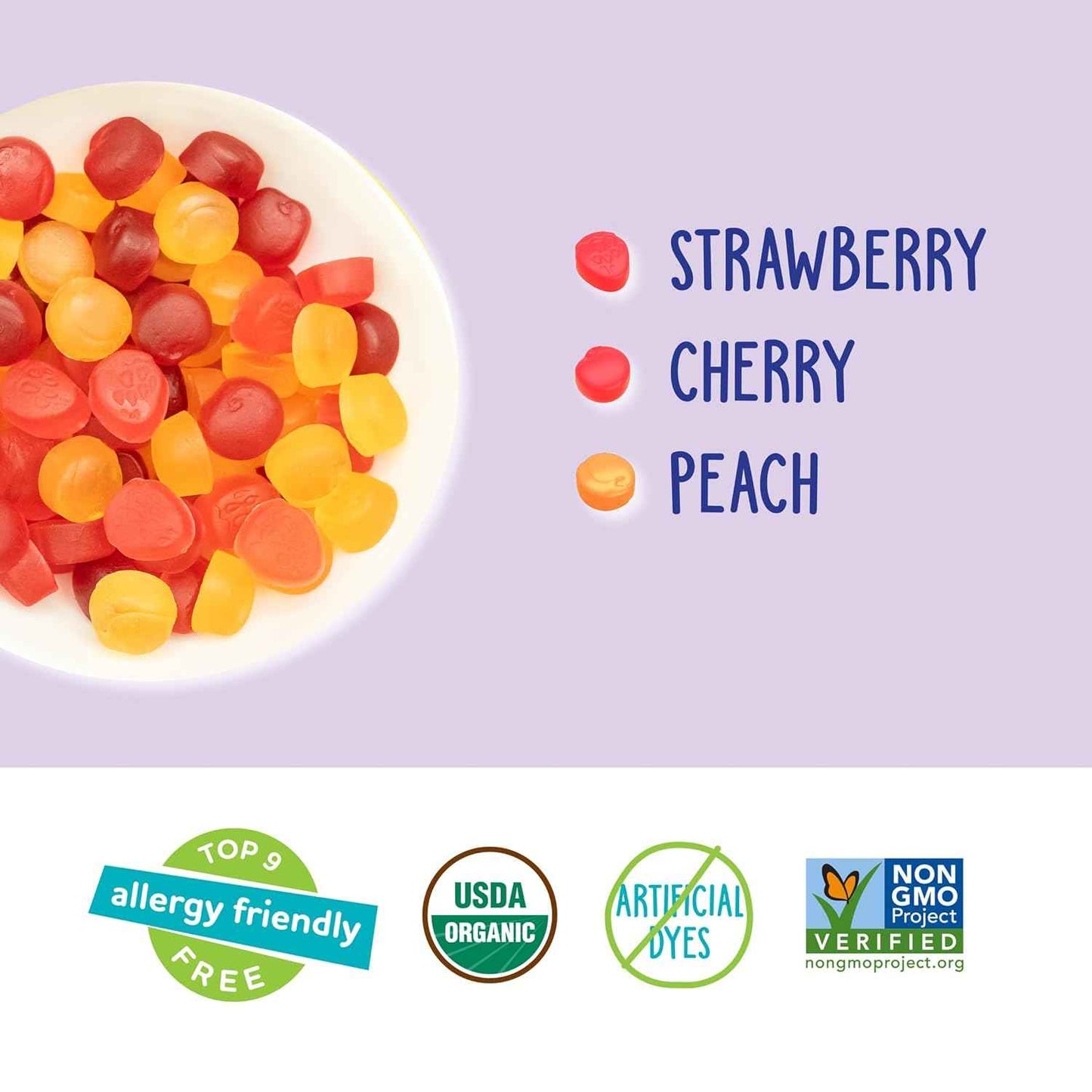 YumEarth Organic Fruit Snacks – Portable Hiking and Backpacking Snack for Allergy Sensitive Families