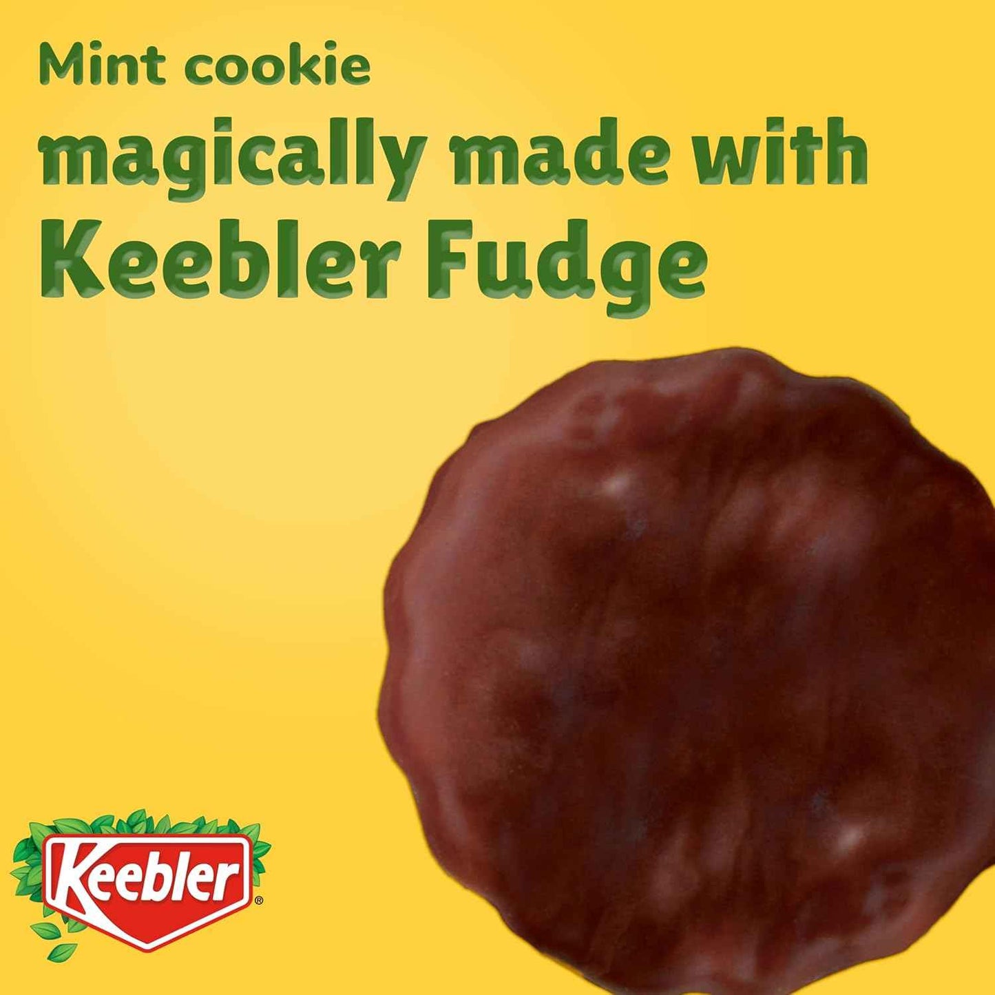 Keebler Grasshopper Mint Cookies - Portable Snack for Camping Trips and Road Travel, 10 Oz Pack of 1