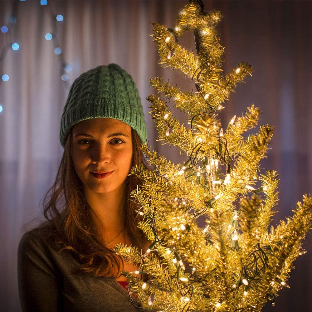 Battery Operated String Lights with 6 Hour Auto Timer, Aesthetic Dorm Room and Apartment Lighting in Warm White, Waterproof LED Lights with USB Option