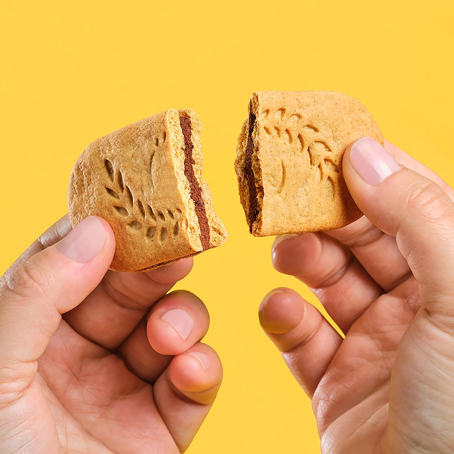 belVita Dark Chocolate Creme Biscuits – After-School Snack for the Kitchen Counter, 12-Pack Value Box