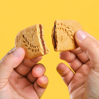 belVita Dark Chocolate Creme Biscuits – After-School Snack for the Kitchen Counter, 12-Pack Value Box