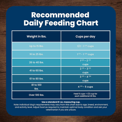 Blue Buffalo Life Protection Chicken & Brown Rice Adult Dog Food – Kid-Friendly Feeding Station Pick with Omega Skin and Coat Support, 15 lb
