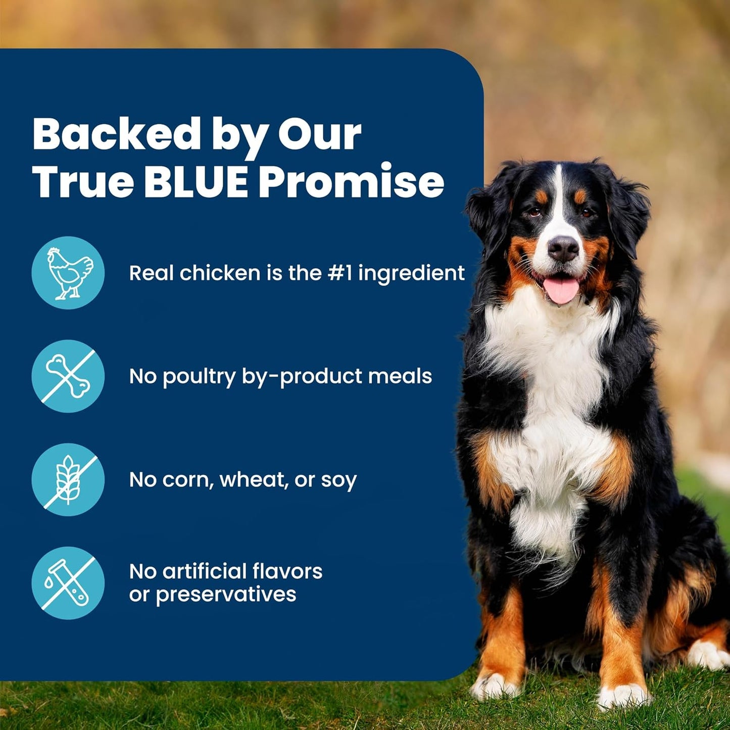 Blue Buffalo Life Protection Chicken & Brown Rice Adult Dog Food – Kid-Friendly Feeding Station Pick with Omega Skin and Coat Support, 15 lb