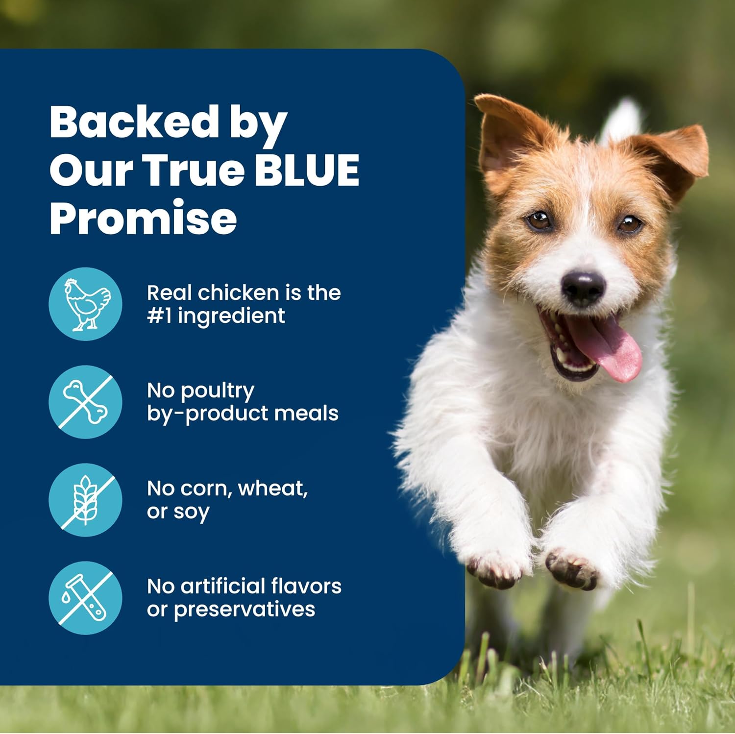 Blue Buffalo Life Protection Small Breed Adult – Premium Welcome Gift for First-Time Dog Owners Transitioning from Puppy Food