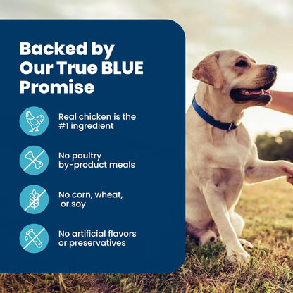 Blue Buffalo Senior Life Protection Chicken & Brown Rice – Clean-Label Nutrition with AAFCO-Compliant Senior Formula, 6 lb