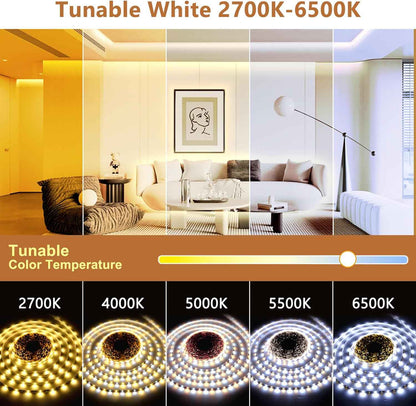 LotusLamp X Single-Run LED Strip – 131ft No-Splice White Tape for Clean Minimalist Interiors