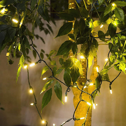 Brightever 100 LED Warm White String Lights – Thoughtful Housewarming & Holiday Gift for Her, Cozy Home Decor Present