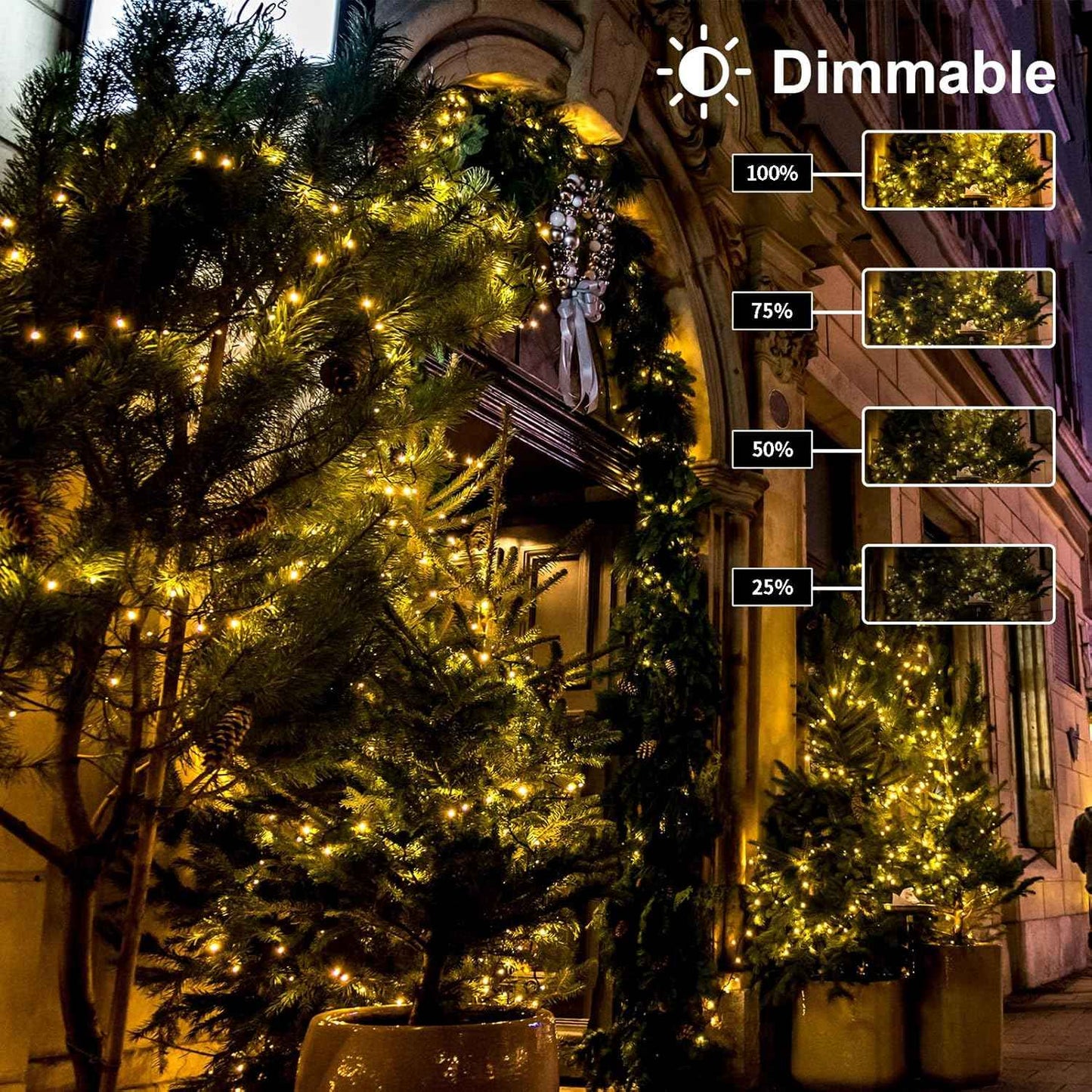 echosari 2 Pack Waterproof Fairy Lights – Patio, Porch, and Garden Path Decor with 8 Lighting Modes