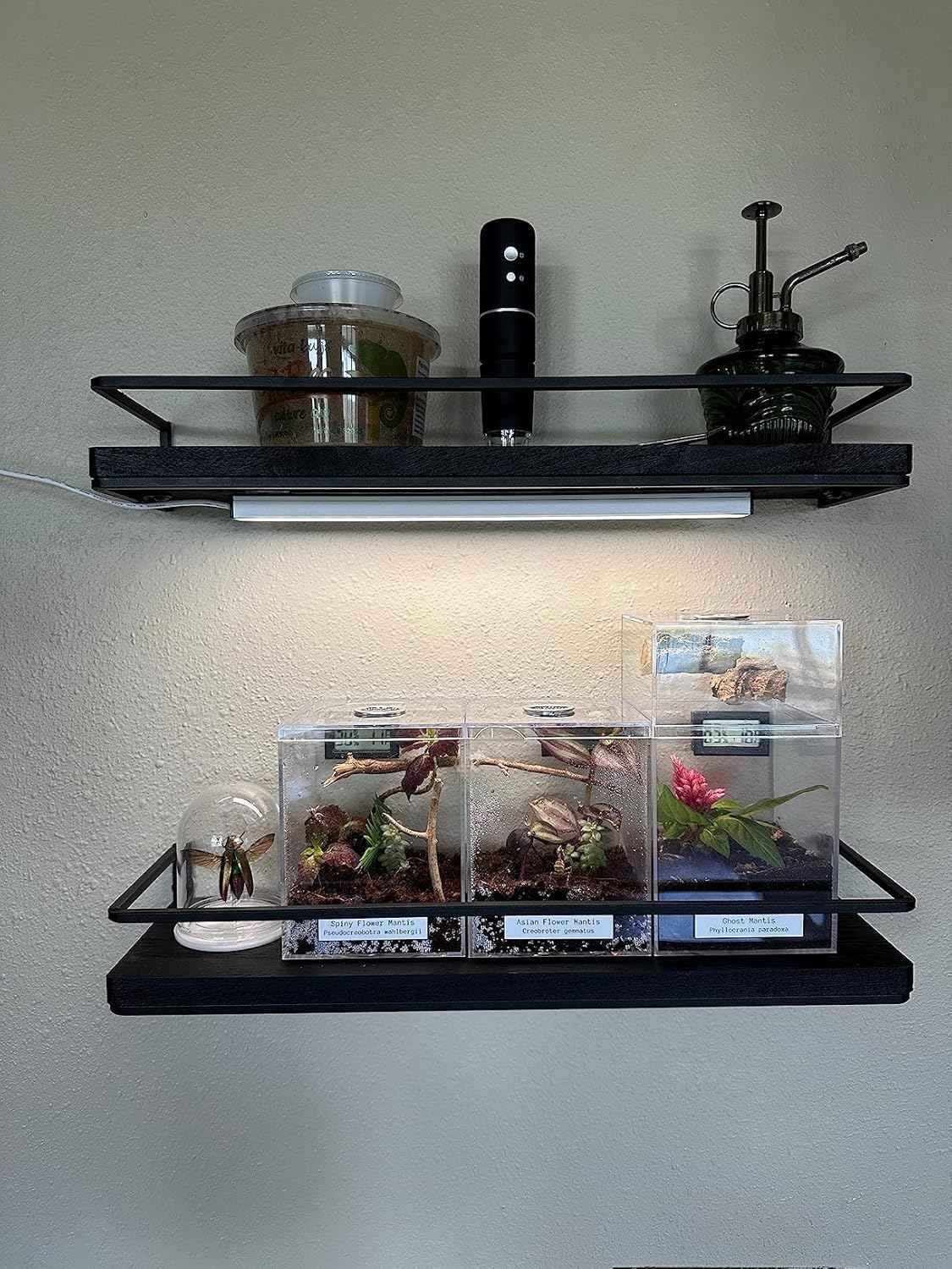 ASOKO Under Cabinet LED Light Bar – Housewarming Gift for New Homeowners and Apartment Renters