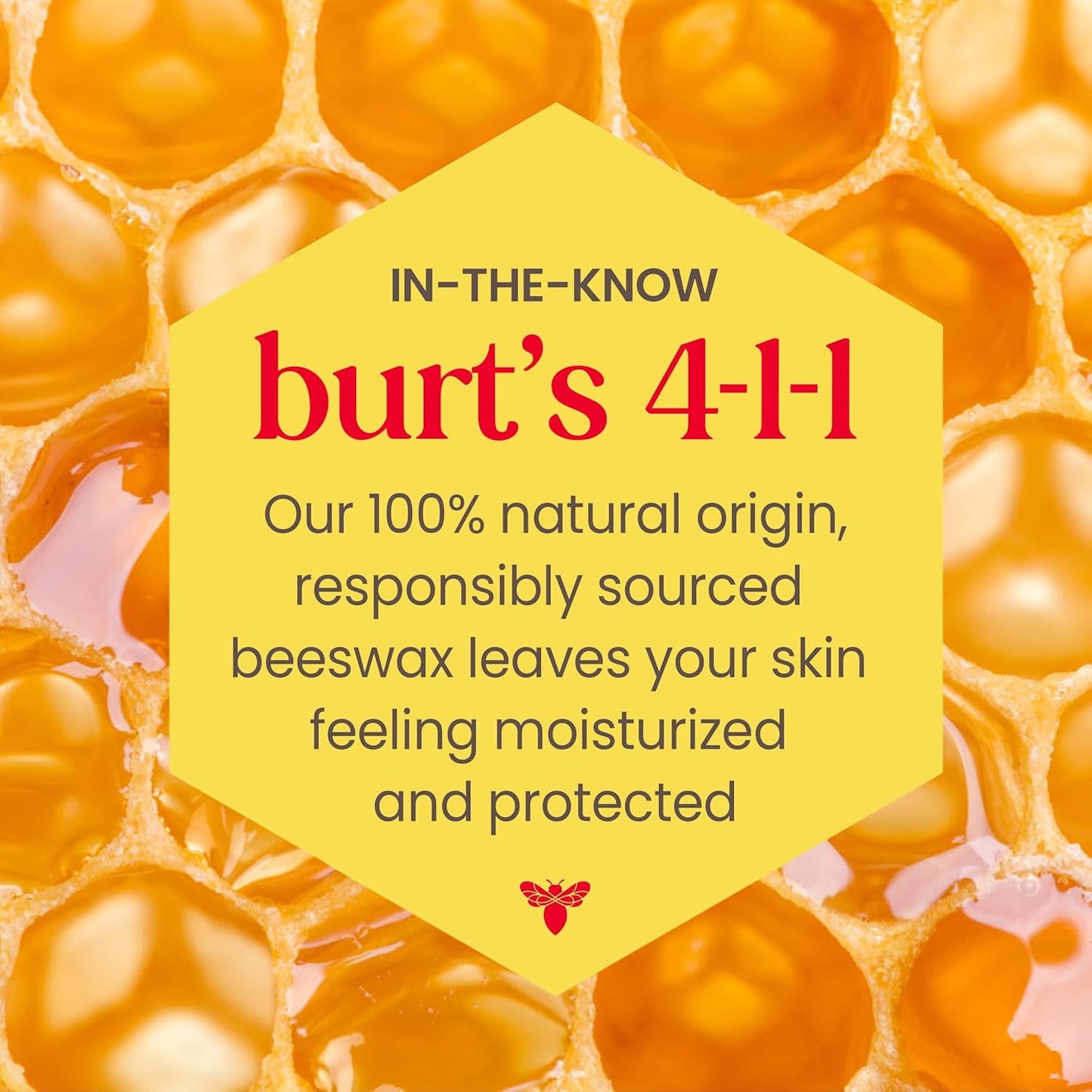 Burt's Bees Tinted Lip Balm 2-Pack – Affordable Birthday Gift for Her, Natural Moisturizing Lip Care Stocking Stuffer