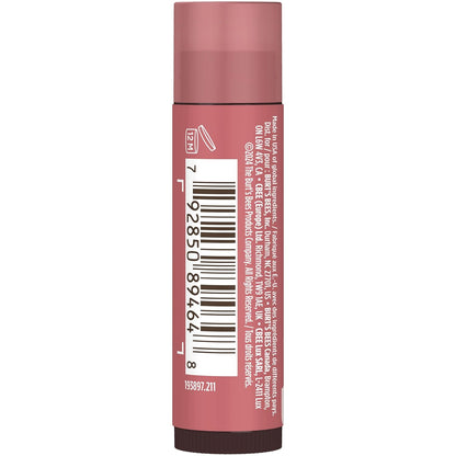 Burt's Bees Tinted Lip Balm 2-Pack – Affordable Birthday Gift for Her, Natural Moisturizing Lip Care Stocking Stuffer