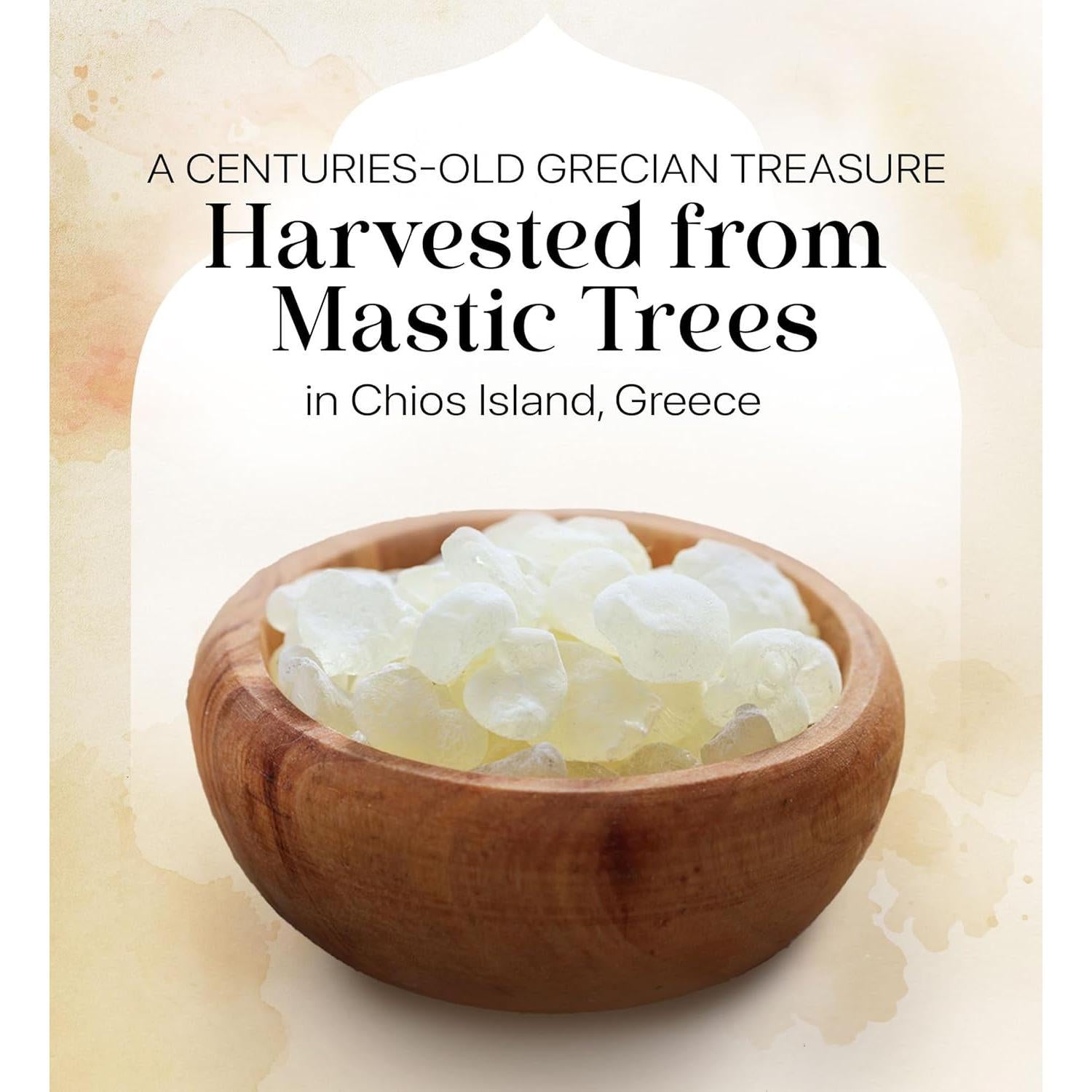 Cerez_Pazari_Natural_Mastic_Gum_0.88_oz_-_Vegan,_Non-GMO,_Sugarless_Made_from_Resin_of_Mastiha_Trees,_Jaw_Exerciser_Candy,_Snack