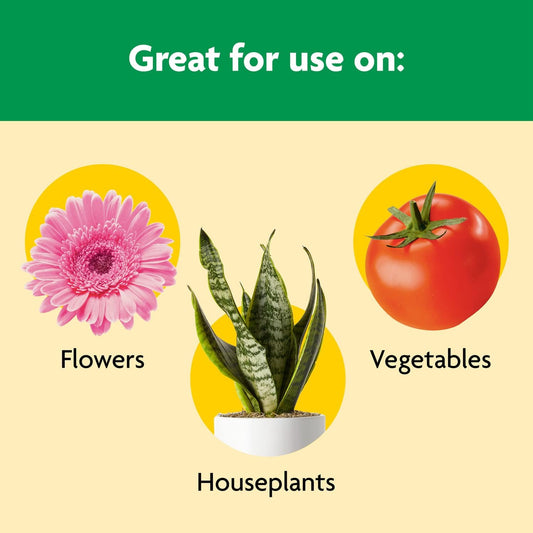 Miracle-Gro_Shake_'N_Feed_All_Purpose_Plant_Food,_For_In-Ground_and_Container_Plants,_Feeds_for_up_to_3_Months,_1_lb.