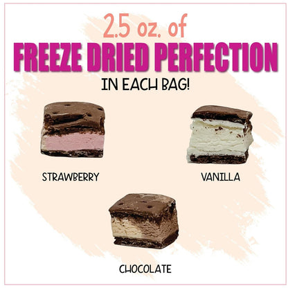 Freeze_Dried_Ice_Cream_Sandwich_Bites_-_Crunchy_&_Sweet_Snack_2.5oz_Freeze-Dried_Food_Space_Ice-Cream_Pack_Dehydrated_Resealable_Gift_Bag_-_Strawberry_Chocolate