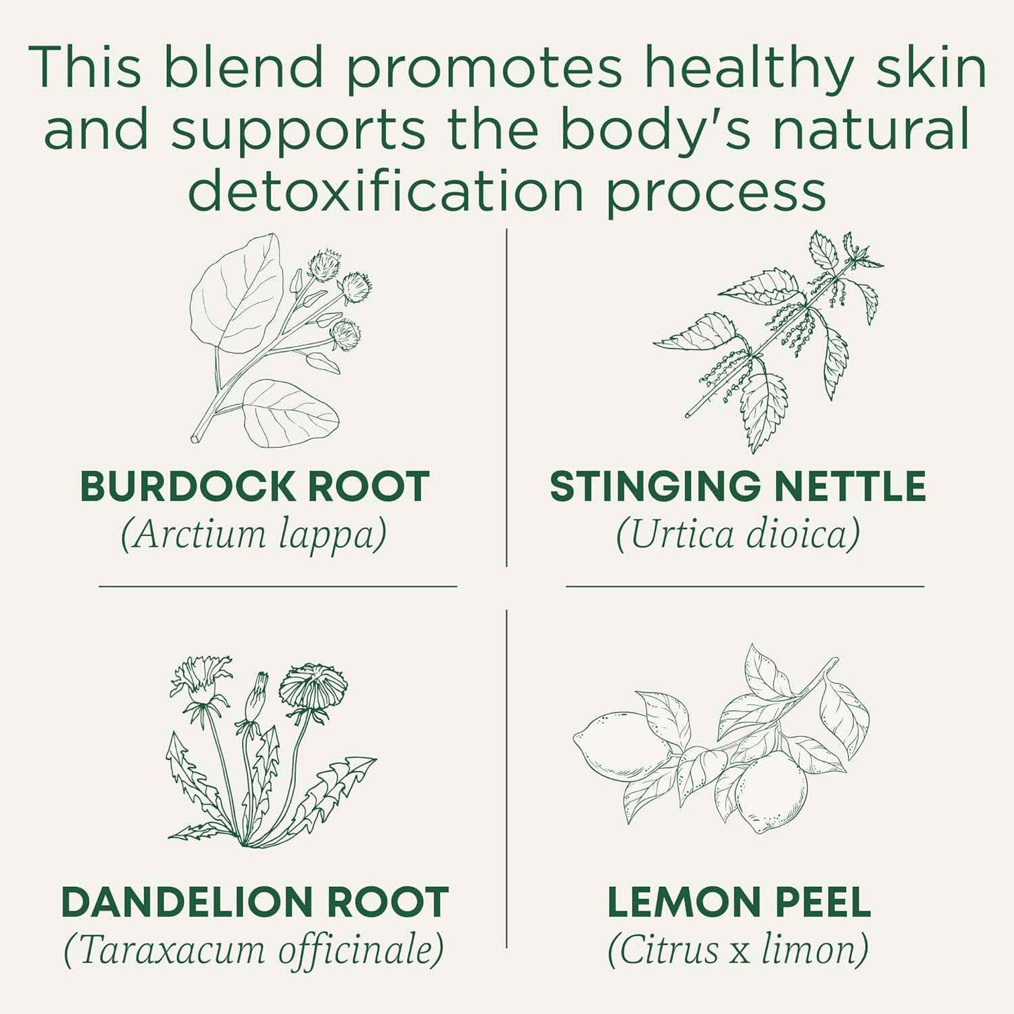 Traditional Medicinals Organic Everyday Detox Lemon Tea – Afternoon Desk Brew for Caffeine-Free Focus, 16 Bags