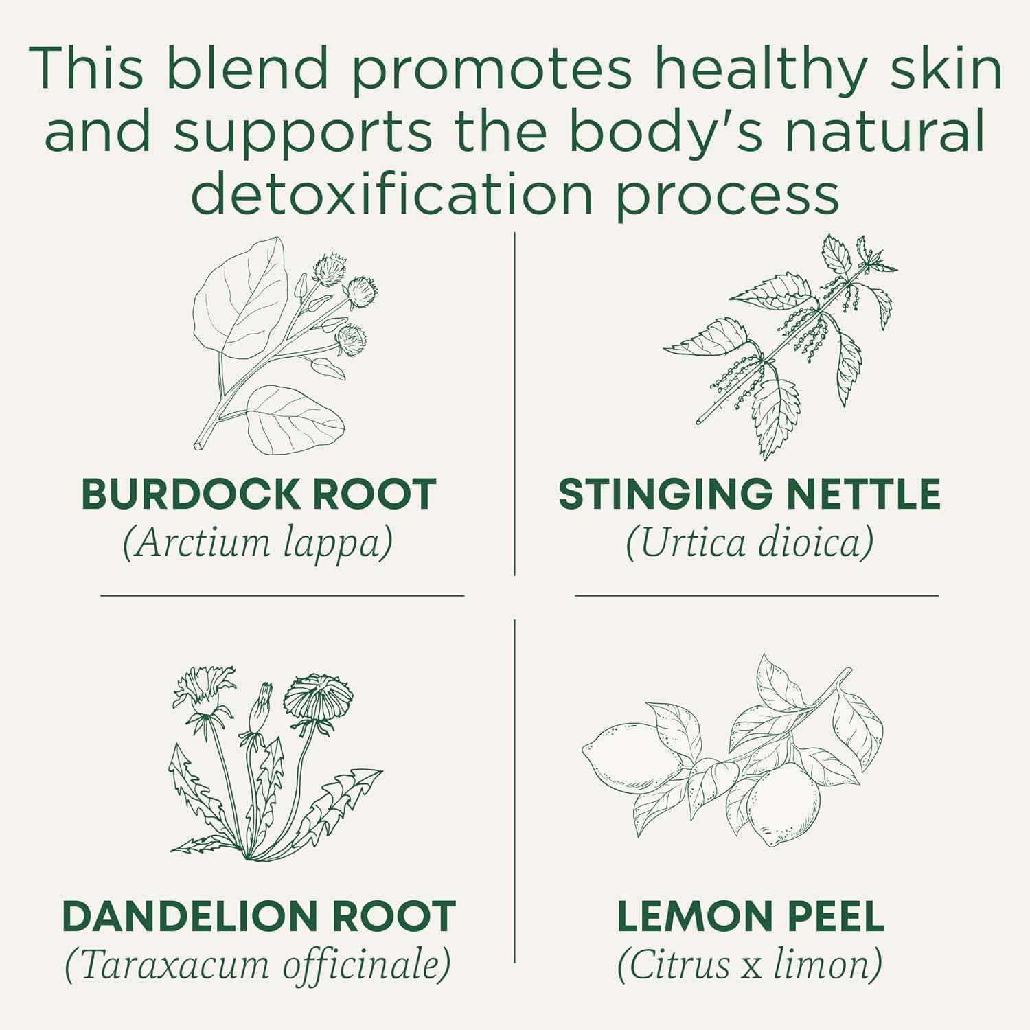 Traditional Medicinals Organic Everyday Detox Lemon Tea – Afternoon Desk Brew for Caffeine-Free Focus, 16 Bags