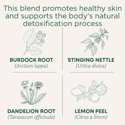 Traditional Medicinals Organic Everyday Detox Lemon Tea – Afternoon Desk Brew for Caffeine-Free Focus, 16 Bags