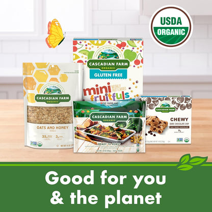 Cascadian Farm Organic Cinnamon Apple Cereal – Portable Whole Grain Snack for Road Trips and Travel Days