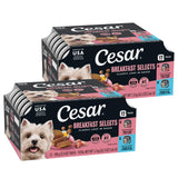 Cesar Wet Dog Food – Premium Housewarming and Birthday Gift for Pet Parents Who Treat Dogs Like Family, 3.5 oz, 36 Count