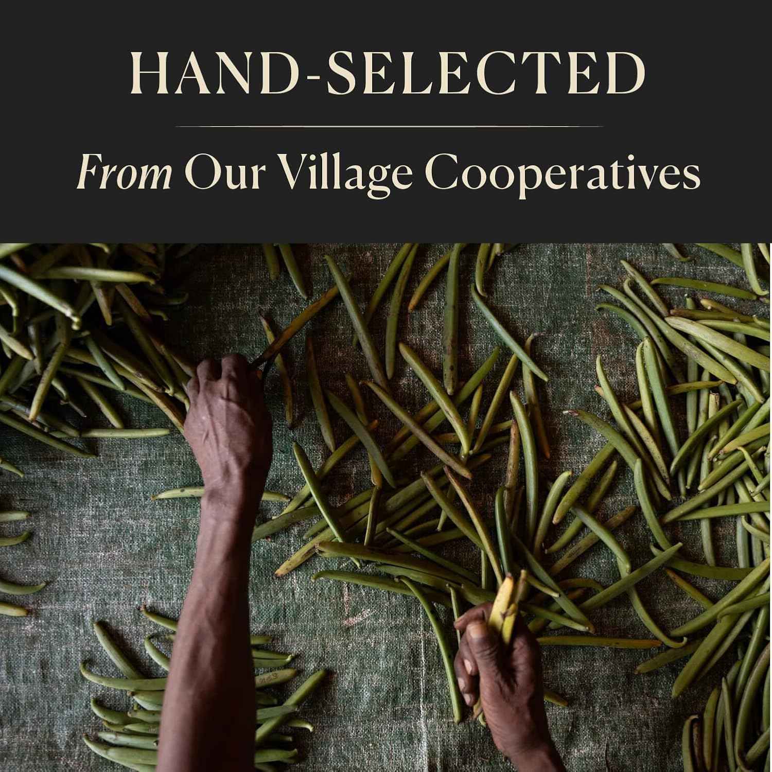 Cook's Premium Organic Madagascar Vanilla Beans – Gourmet Ingredient for Upscale Dessert and Pastry Creations
