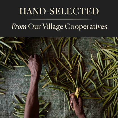 Cook's Premium Organic Madagascar Vanilla Beans – Gourmet Ingredient for Upscale Dessert and Pastry Creations