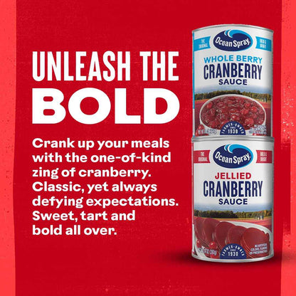 Ocean Spray Jellied Cranberry Sauce – Kid-Friendly Thanksgiving Side for the Family Table, 14 Oz Can Pack of 1