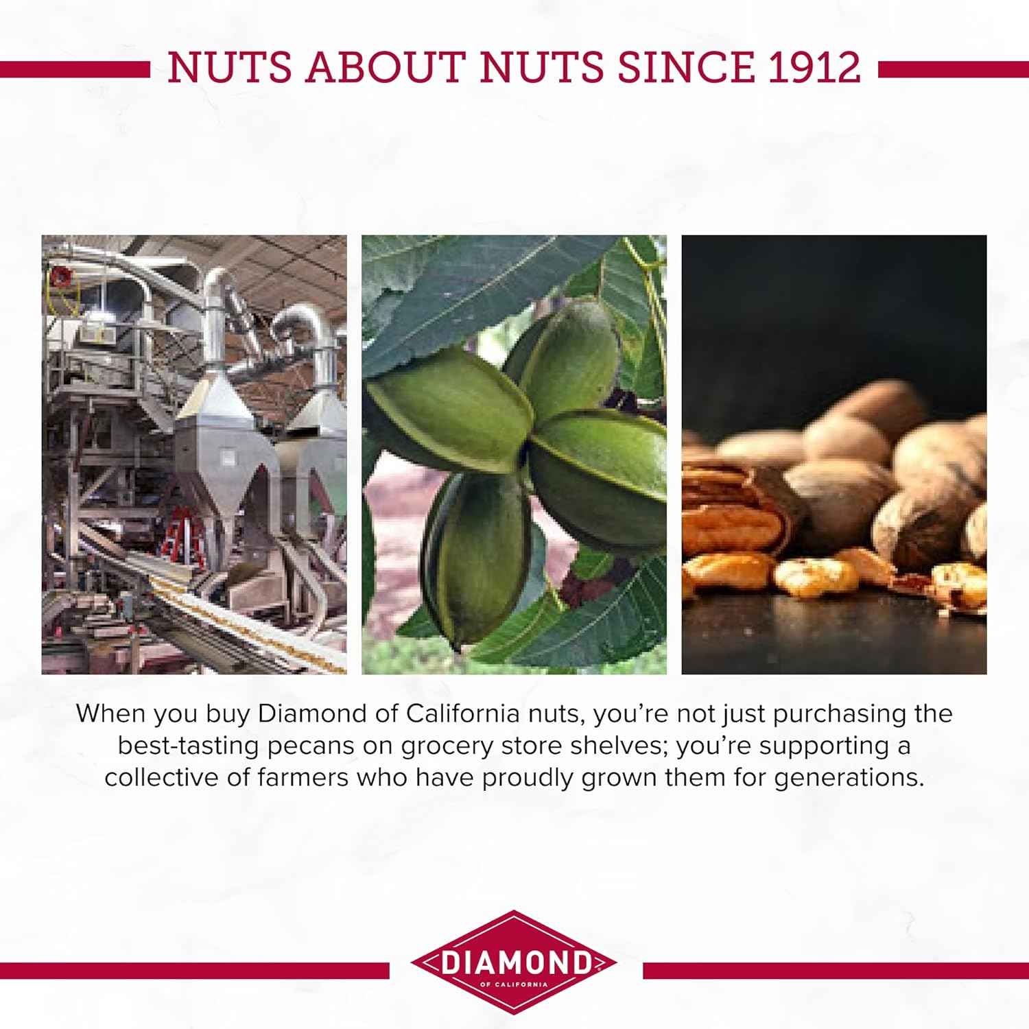 Diamond of California Chopped Pecans – Gourmet Hostess Gift for Holiday Baking, Premium Pantry Addition for Cheese Board Lovers
