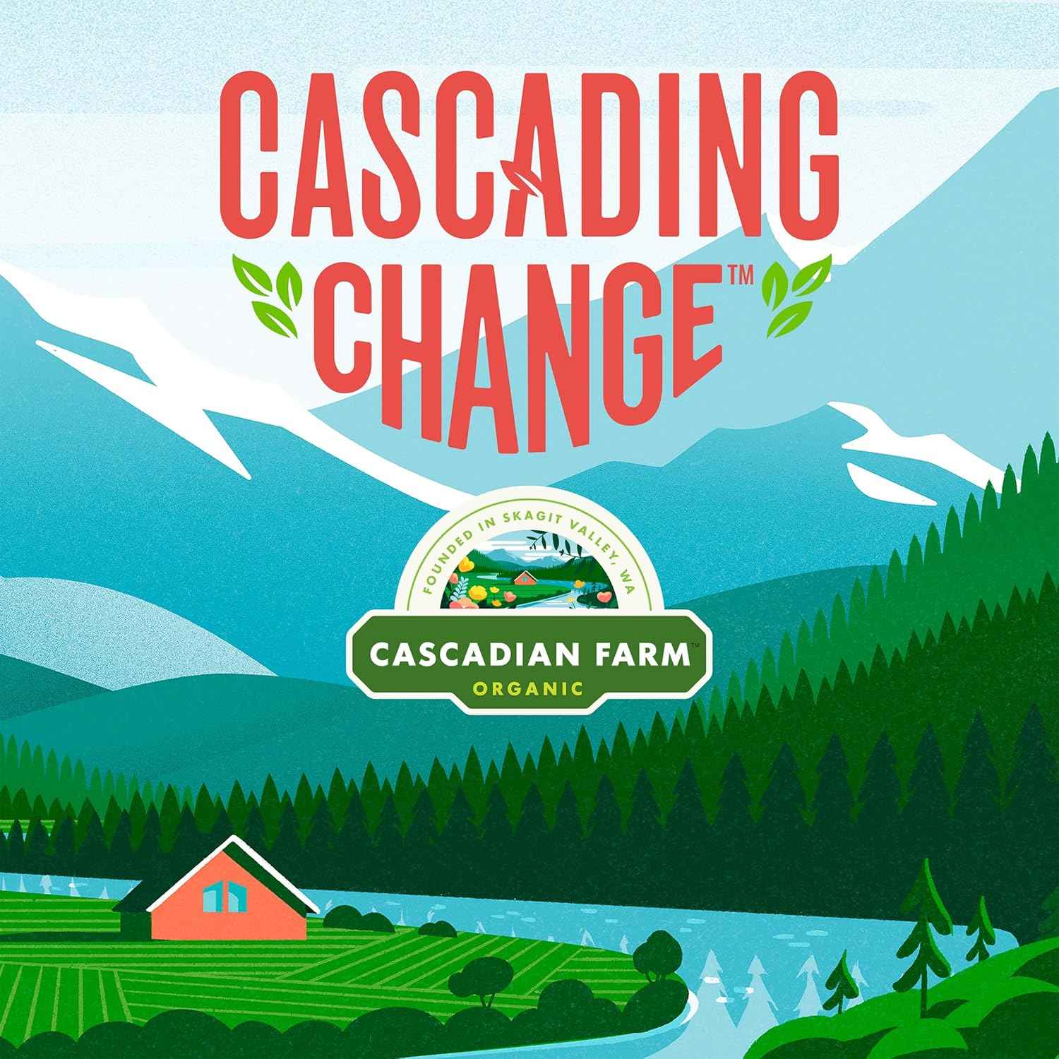 Cascadian Farm Organic Dark Chocolate Chip Granola Bars – Whole Grain Snack for Balanced Eating Habits, 12.3 oz Pack