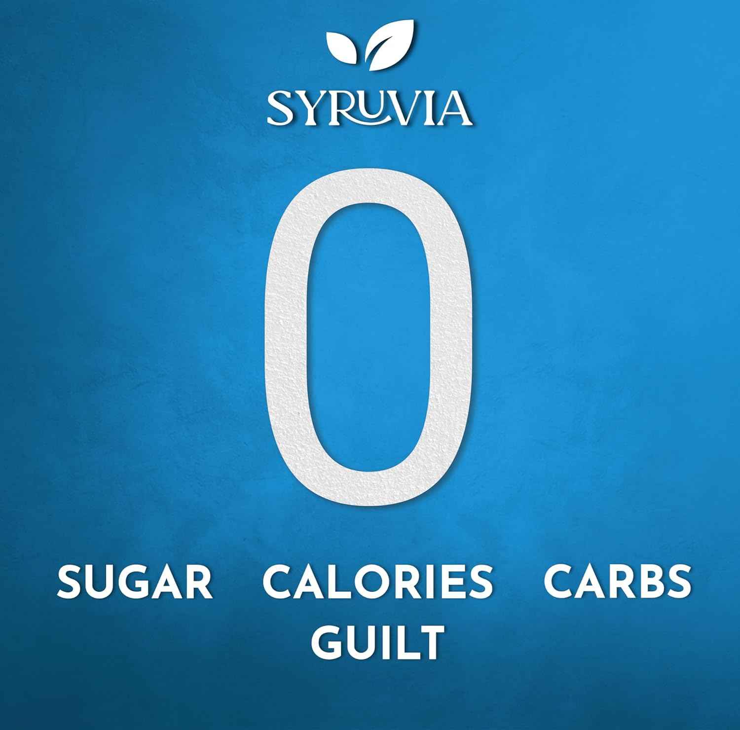 Syruvia Sugar Free Syrup – Office Pantry Flavor Upgrade for Focused Workdays, 25.4 fl oz With Pump
