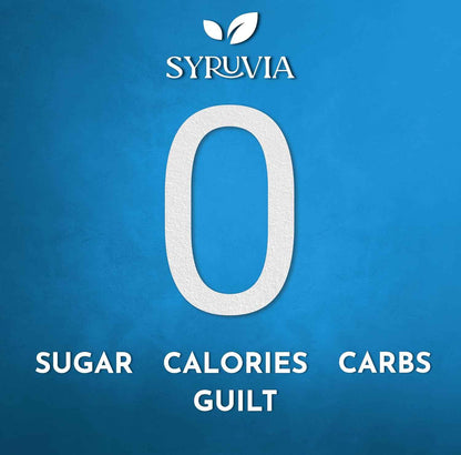 Syruvia Sugar Free Syrup – Office Pantry Flavor Upgrade for Focused Workdays, 25.4 fl oz With Pump
