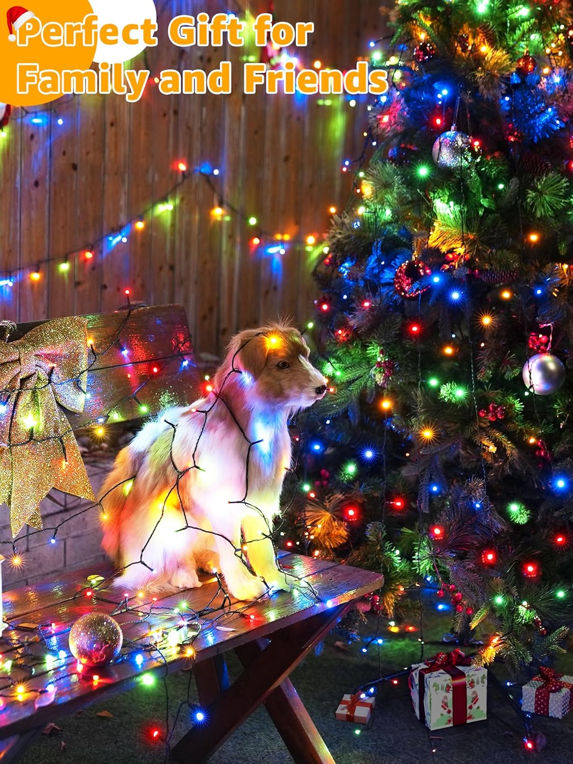 CozyHOME 29V Low Voltage LED String Lights – Cool-to-Touch, Flameless Family & Pet Safe Holiday Lighting
