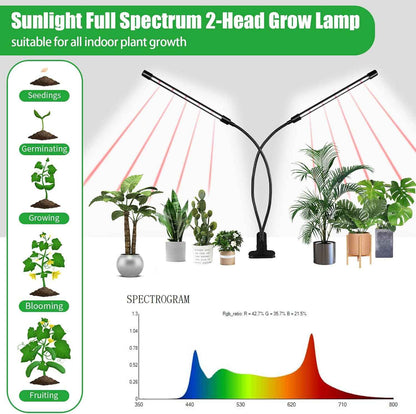 Domus Botanix Grow Light – Focus-Boosting Desk Companion for Home Office Plant Care