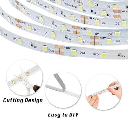 dalattin LED Strip Lights – Cool to Touch 24V Tape Light Safe for Kids and Pets, Dimmable
