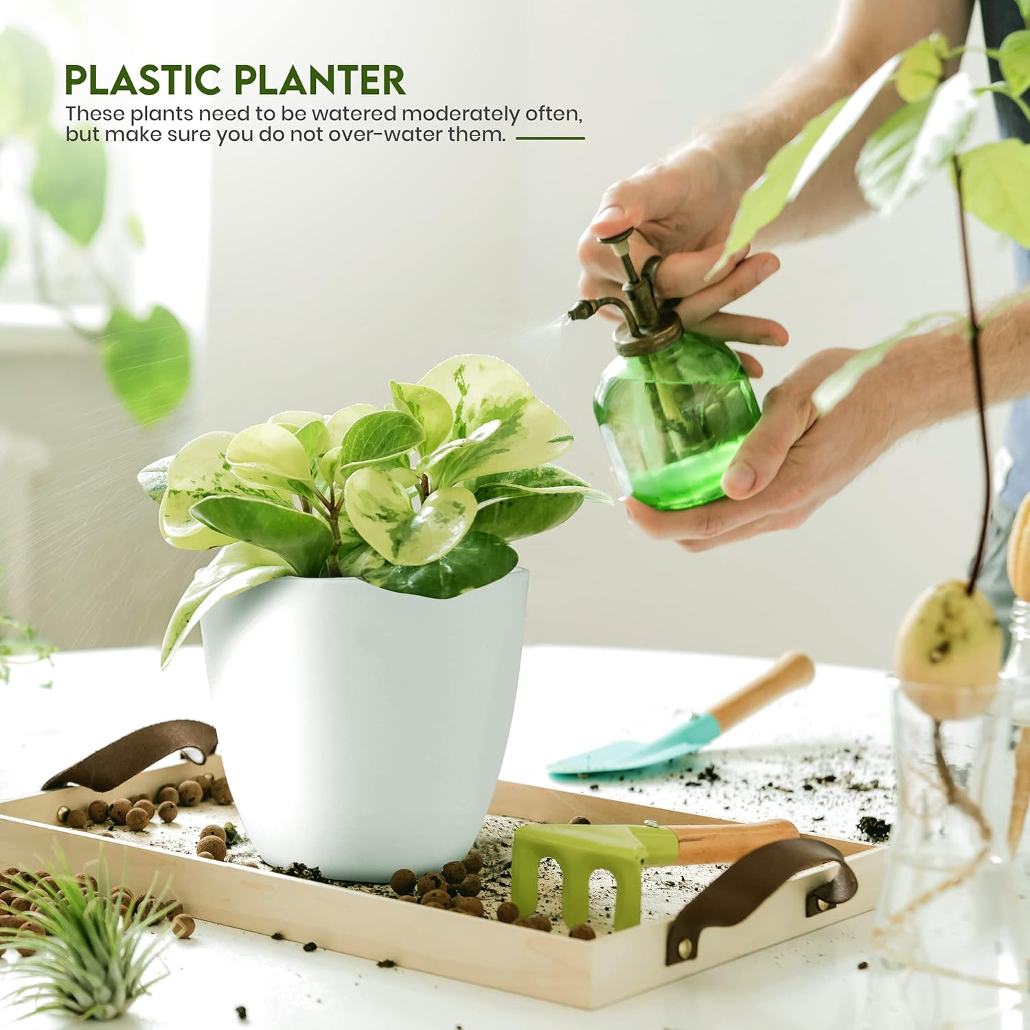 Utopia_Home_-_Plant_Pots_Indoor_with_Drainage_-_7/6.6/6/5.3/4.8_Inches_Flower_Pots_for_Indoor_Planter_-_5_Pack_Plastic_Planters_-_Ideal_for_Stocking_Stuffers_or_Home_Christmas_Decorations