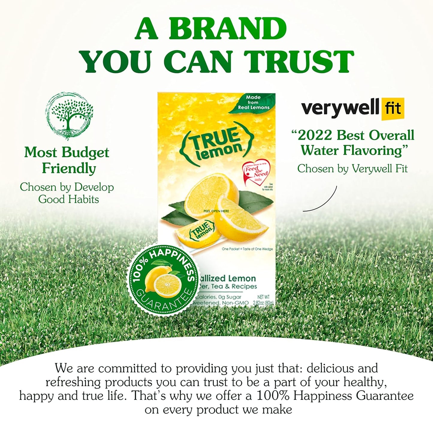 Water_Enhancer,_Bulk_Dispenser,_100_Count,_0_Calorie_Drink_Mix_Packets_For_Water,_Sugar_Free_Lemon_Flavoring_Powder_Packets
